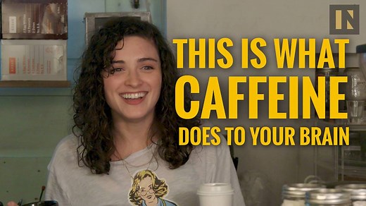 19M views · 3.5K reactions | What happens to your brain on caffeine? An overcaffeinated neuroscientist explains. (via Your Brain On Blank) | Popular Science | Facebook