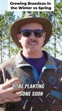 Growing Brassicas in Winter vs Spring