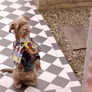 89K views · 148 reactions | Smart meters are only installed by your energy supplier*. *installer may vary Find out more: https://goo.gl/ET9VNy | Smart meters | Facebook