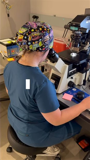 b r a n d i s m o n t e z 🌿 Fertility Nurse Practitioner on Instagram: "Ever wonder what’s actually happening when we say “ICSI”? 👀 ICSI stands for Intracytoplasmic Sperm Injection; it’s one of the most incredible techniques in modern fertility treatment. During this process, an embryologist selects a single healthy sperm and injects it directly into the center of an egg using a microscopic glass needle. Originally, ICSI was used mostly for cases of severe male factor infertility (low sperm co