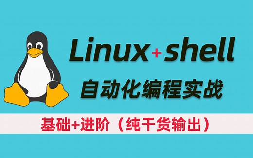 shell脚本从基础到自动化编程实战！shell编程快速入门，B站最通俗易懂的零基础入门教程。