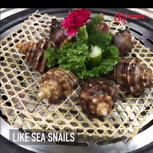 570K views · 468 reactions | Just a few more days for festive feasting! Here are 12 hot new restaurants to plan your family meals and get-togethers at. One on the list is Sea Tripod Seafood Paradise, a seafood restaurant where the ingredients come fresh and where you steam and cook all your orders yourself. Read on for more info: bit.ly/hot-restaurants-dec2016 | HungryGoWhere | Facebook