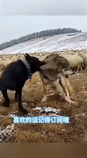 生活vlog #治愈系 #日常记录 #情感分享 #成长记录 #美妆护肤 #生活方式 #励志 #治愈瞬间 #情绪共鸣 #美好生活 #UP主 #中国vlog #热门推荐 #高质量内容 #记录生活 #正能量