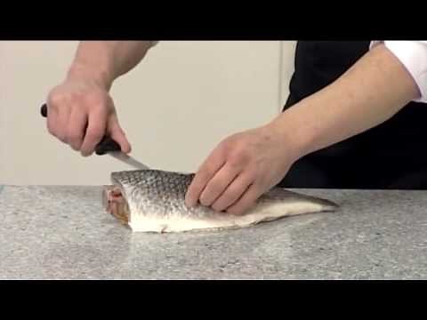 How to fillet a Grey Mullet | 209