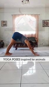 15K views · 151 reactions | Animal-inspired yoga poses help improve strength, flexibility, and balance by mimicking natural, instinctive movements. They also support relaxation, enhance body awareness, and bring a sense of playfulness to the practice. Many poses carry symbolic energy like courage, calm, or grace, helping you connect both physically and mentally. . . #yoga #yogapractice #yogaposes #yogaeveryday #yogaforall #fitness #fitnessmotivation | Letlet Yoga | Facebook