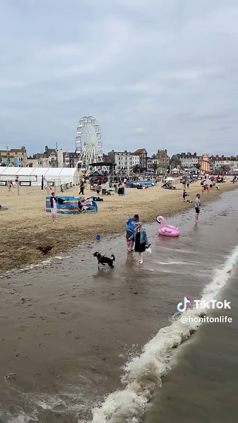 HonitonLife on TikTok