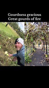 21K views · 434 reactions | Gourdness gracious great gourds of fire! Follow my buddy @gourdfarmer on Tictok. These gourds are ready to dry on the porch! Which I then did for 6 months and now it’s birdhouse painting time! #gourds #birdhousegourds #birdhouse #gourdart #gourd #farmlife | James Weston | Facebook