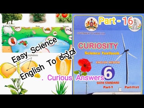 6th Class Science 2nd Lesson "DIVERSITY IN THE LIVING WORLD" part - 16 Explanation English To ಕನ್ನಡ