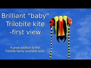 New "baby" 2m Trilobite kite takes to the sky