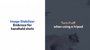 Mastering the Canon EF 70-300mm IS II USM Lens