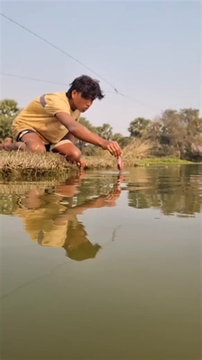 Bamboo stick trap fishing video #fishing #trap #video #viral