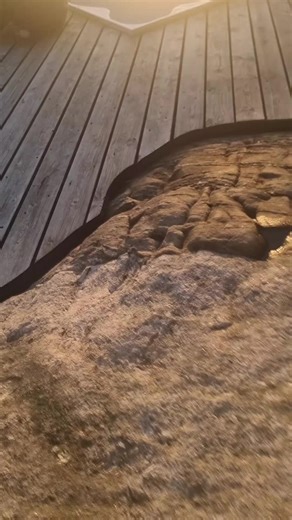 Videos de Fernando Arevalo 10 (@fernando.arevalo1012) con “DtMF - Bad Bunny”