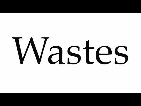 How to Pronounce Wastes