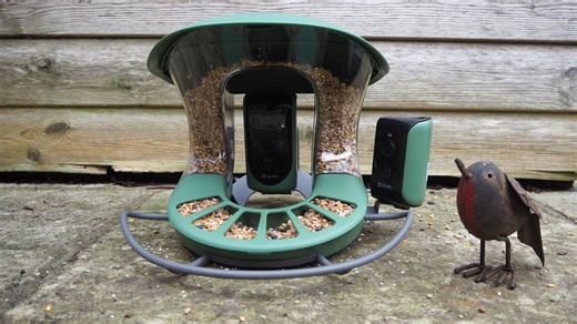 Birdfy Feeder 2 Duo review: two cameras, three angles