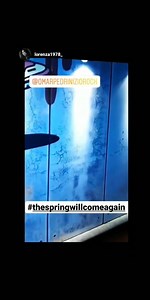 8K views · 426 reactions | Dopo “2020” e “Uno straccio d’anima (Italia)“, un’altra canzone dello Zio Rock che sembra scritta per i nostri tempi: “Come se non ci fosse un domani”... Video di #EliaCristofoli, con protagonista la bravissima e bellissima Zoe Cristofoli! Grazie a Lorenza per averlo pubblicato nella sua Instagram story  #OmarPedrini #ZioRock #ComeSeNonCiFosseUnDomani #iorestoacasa #insiemecelafaremo #coronavirus | Omar Pedrini | Facebook