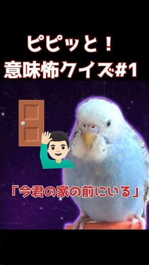 意味がわかると怖いクイズ1 #歌 #謎解き #クイズ #なぞなぞ #インコ #shorts