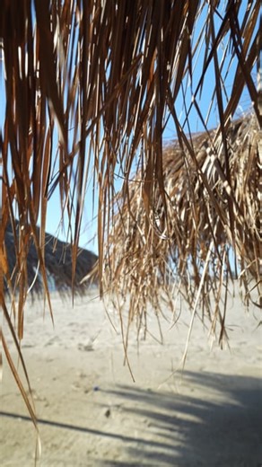 Summer, Beach, Sea. Free Stock Video