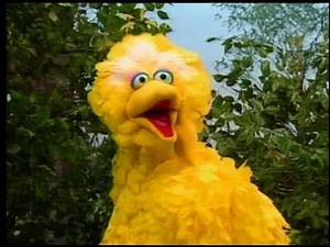 Classic Sesame Street - Big Bird Talks About Feelings