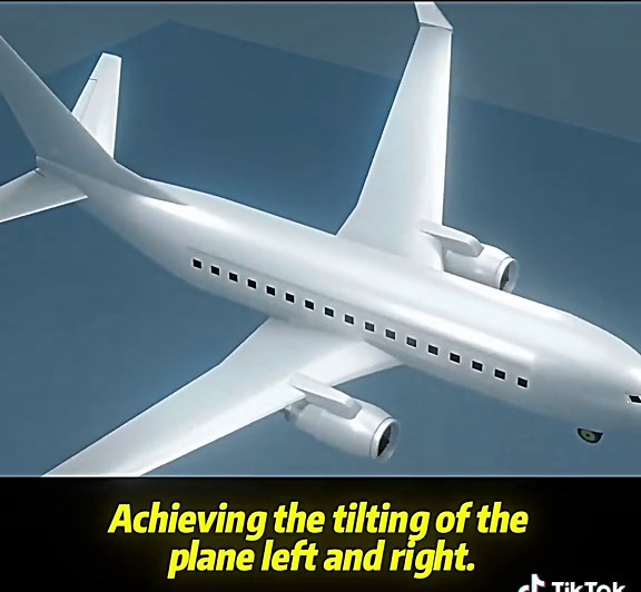 Understanding How Airplanes Generate Lift