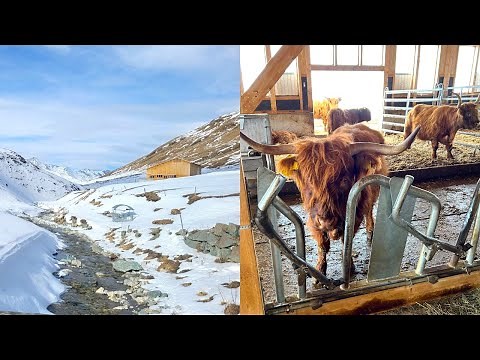 Farming In The Mountains!