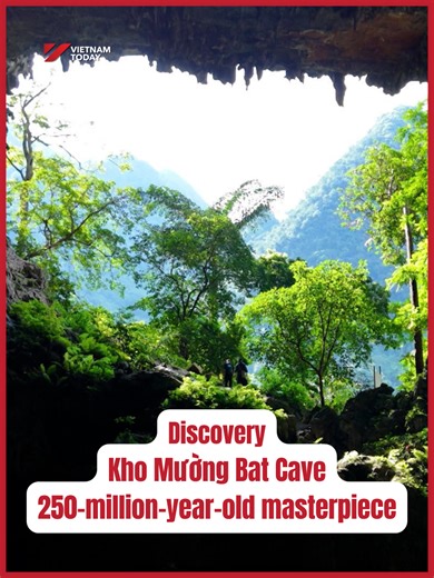 Bat Cave: Pù Luông's Hidden Karst Gem