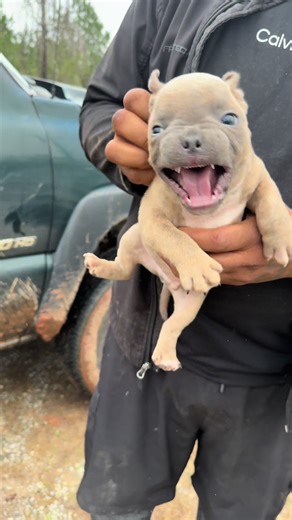 The Ugly Man Viral Moment: DogManClyde's Humor