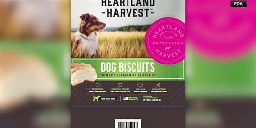 Dog treats recalled for salmonella contamination