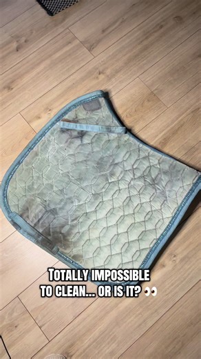 Transforming an Eskadron Saddle Pad: Cleaning Results