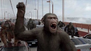 Apes And Anthropomorphism