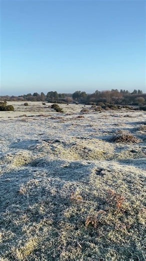 Cold frosty morning on the last day of the year on Stoborough Heath National Nature Reserve