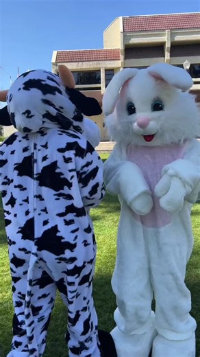 There’s a new mascot in town! 🐰Hop into spring with the Chino Youth Museum’s Easter Bunny Extravaganza on March 25! Register at www.cityofchino.org/bunny.