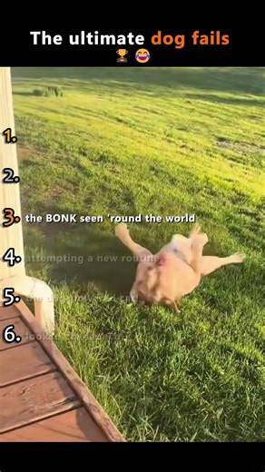 why do their legs always run faster than their brains?😂