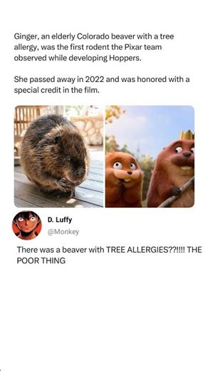 Beaver With a Tree Allergy?! 😭 Pixar’s Unexpected Inspiration Story