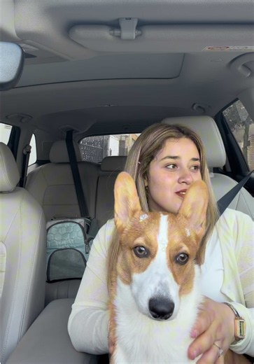 Pata y papoi al fallo #vlog #migajagalleta #botasguadalupepachon | botas