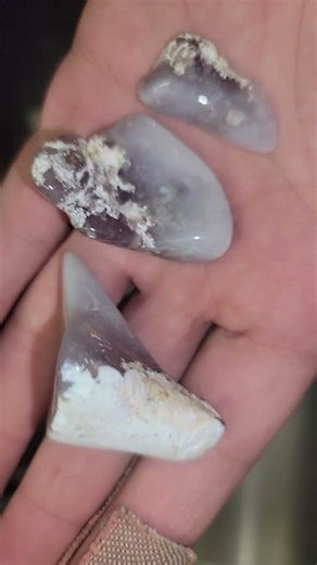 Serape Jasper, Purple Chalcedony & Mookaite – Mirror Glass Shine in Tumbler!