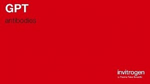 GPT antibodies from Thermo Fisher Scientific