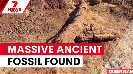 Rare 100-million-year-old marine reptile fossil found in Australia