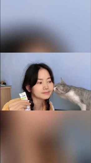 This Cat Understands Sign Language!