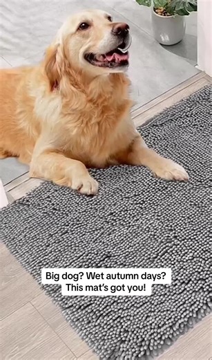 Ultimate Pet Blanket for Big Dogs on Rainy Days