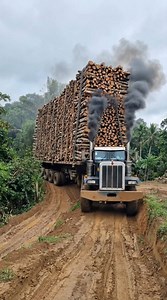153K reactions · 3.5K shares | Extreme load #woodcargo #USA | Baladewa | Facebook
