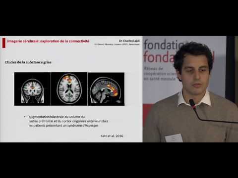 Imagerie cérébrale et exploration de la connectivité dans l'autisme