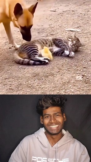 Avlothaan 😂😅 #shorts #viral #trending #shortsfeed #trendingshorts #viralvideo