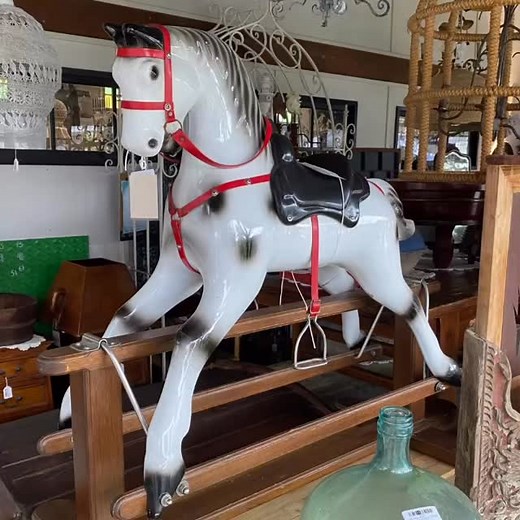 25 reactions | Giddy Up! Race to The Shed @ Cooroy, we’ve got all the runners  | The Shed at Cooroy | Facebook