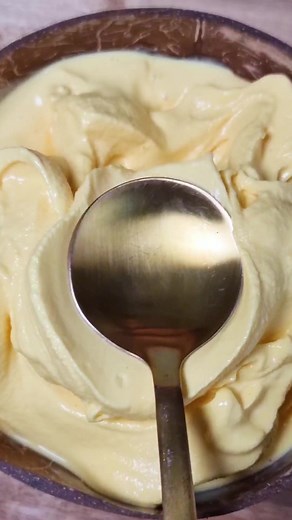 Delicious Mango Smoothie Ice Cream Recipe with Igloo Duet Mango Vanilla