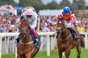 How good causes to gallop off with up to £20,000 at 2025 Sky Bet Ebor Festival.