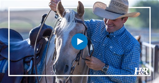 Kody Ward’s Ranch Sorting Bit Guide