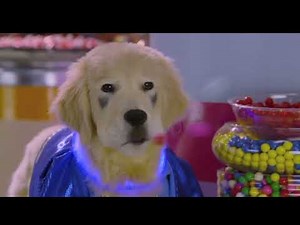 Super Buddies (2013) trailer original [HD]