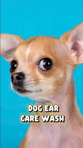 Dog Ear Cleaner for Smelly Ears and Wax Buildup