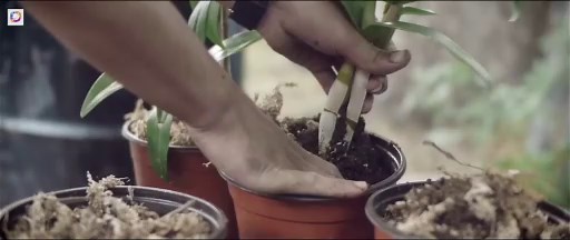 Upstream Color (2013) [Full Movie] [Full Version]Full EP - Full