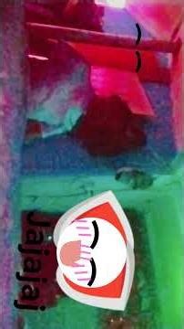 13 de febrero de 2026